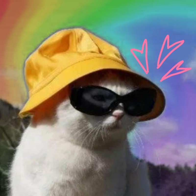 Создать мем: кот в панаме и очках, кот в панамке и очках