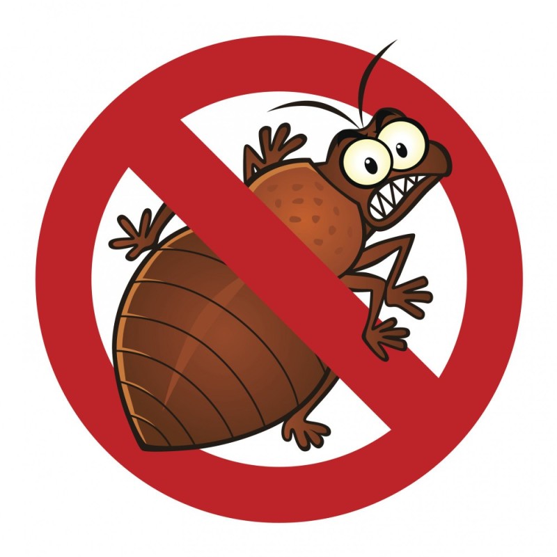 Create meme: bed bug insects, cockroaches bedbugs pest control, insect bug