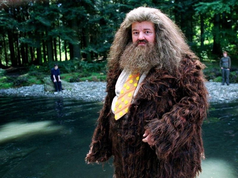 Create meme: rubeus hagrid, rubeus hagrid actor, Harry Potter Hagrid