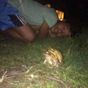 Создать мем: обрадуй лягушку, жабы жабятся пикча, смешные пары