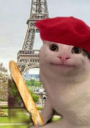 Create meme: cats , seals , Russian cat