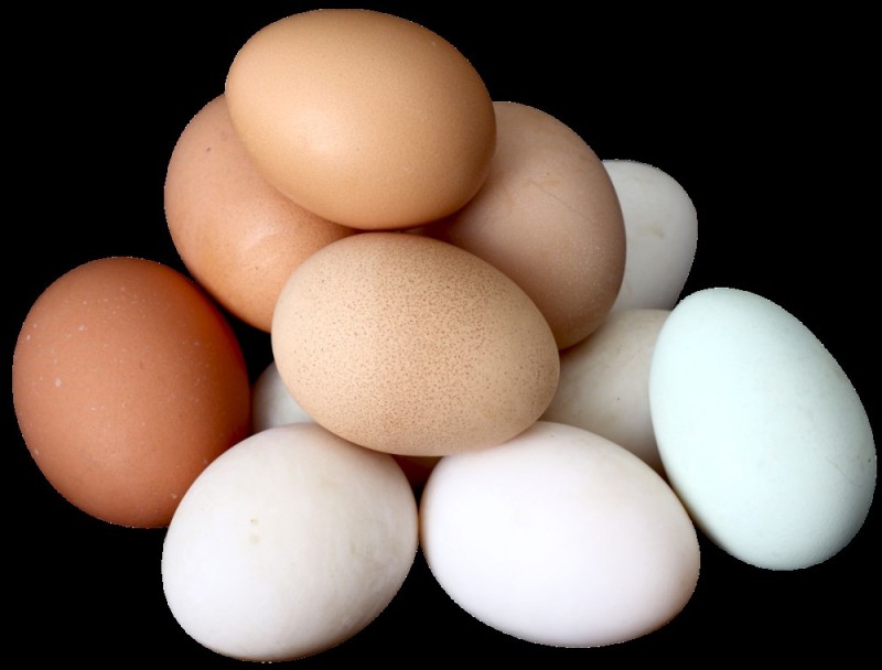 Создать мем: яйцо домашнее, домашние куриные яйца, крупные куриные яйца