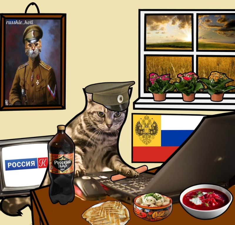 Создать мем: кот большой, кот, русские коты