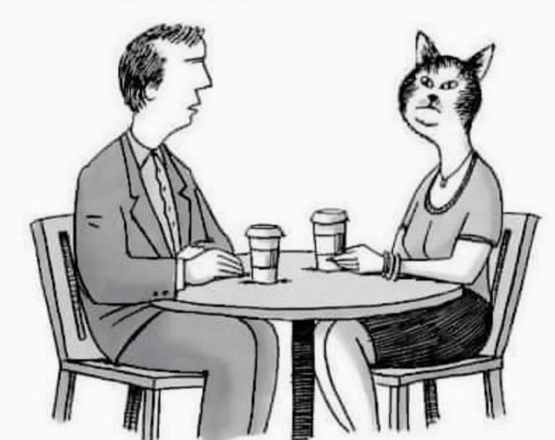 Create meme: cat , illustration, date caricature