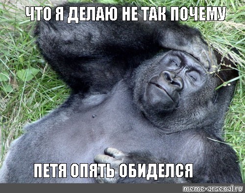Горилла Мем. Мемы с гориллами. Мем с шоколадной гориллой. Вперед в Украину Мем с гориллами. Опять обидел