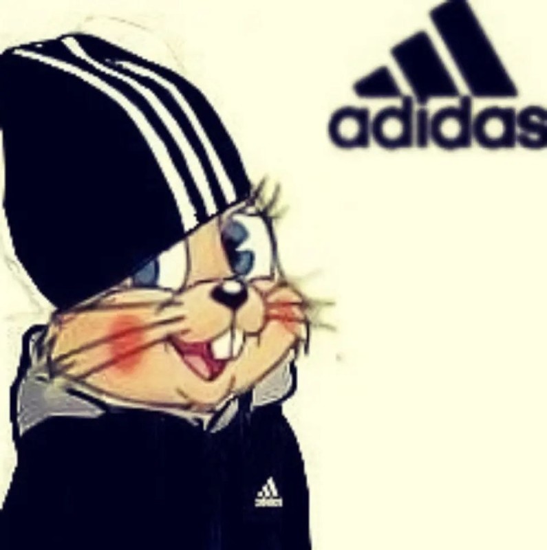 Create meme: the hare in the Adidas, wolf in Adidas, hare well wait adidas
