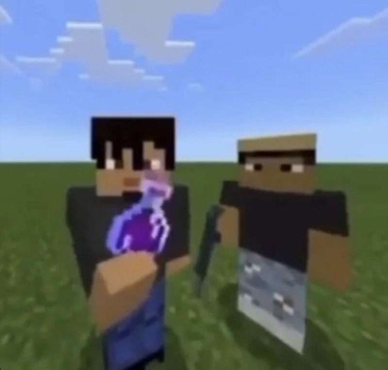 Create meme: minecraft , fir play minecraft, funny minecraft