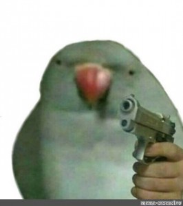 Create meme: parrot parrot, parrot, a parrot with a gun meme