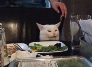 Create meme: meme of the year cat at the table, cat at the table, cat at the table photo, meme