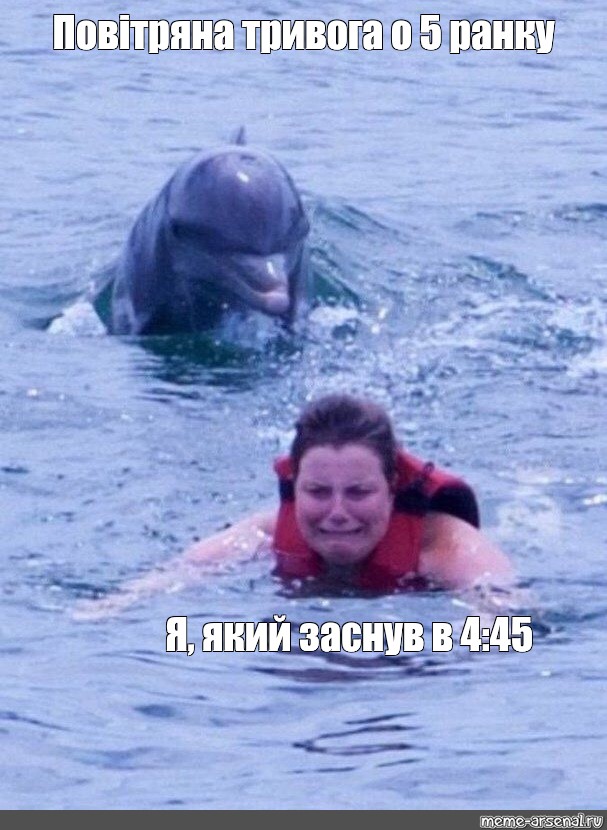 Нападение дельфинов. Человек на дельфине. Дельфины и девушка. Мемы про дельфинов.
