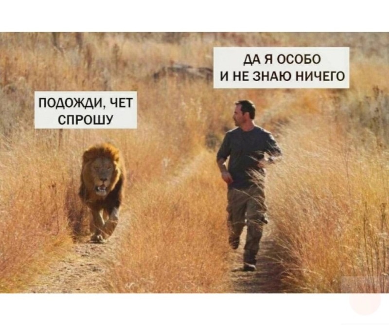 Создать мем: лев бежит за человеком, кевин ричардсон заклинатель львов, погоди чет спрошу да я особо и не знаю ничего