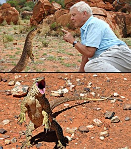 Create meme: Varan, David Attenborough, David Attenborough dinosaurs