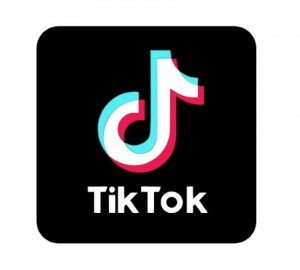 Create meme: tik tok logo, logo, Tiktok