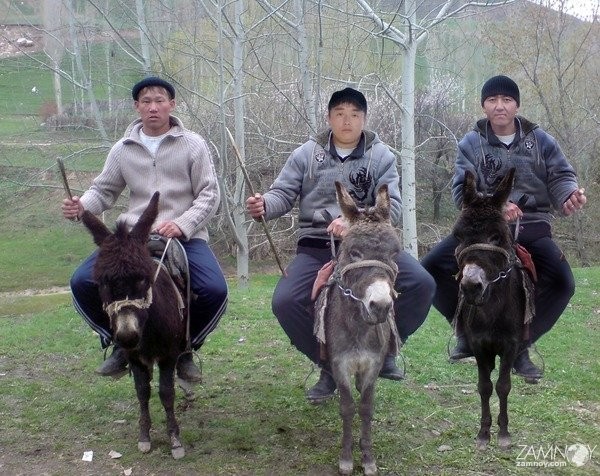 Создать мем: дахадаевский район село дзилебки, смешной киргиз, ослик