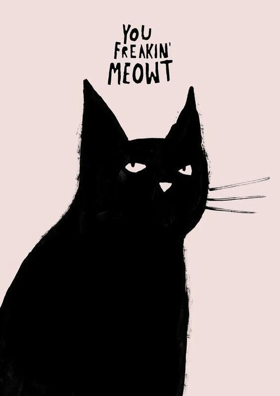Создать мем: кошка иллюстрация, кот черный, cat black