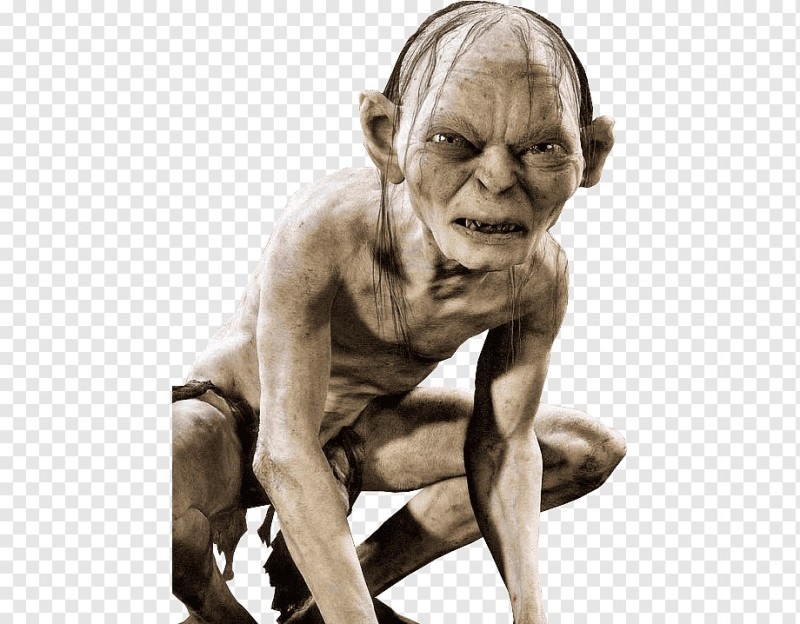 Create meme: the Lord of the rings Gollum, the Lord of the rings golum, Gollum from the Lord of the Rings