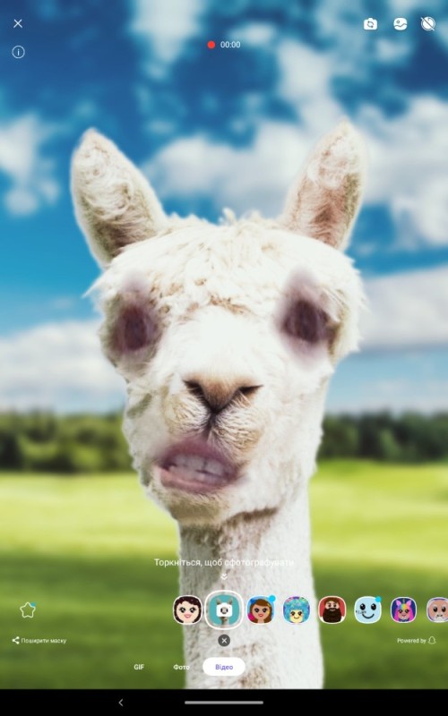 Create meme: little alpacas, Alpaca , alpacas 1920 x 1080