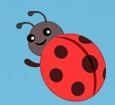 Создать мем: bug, ladybird, божья коровка