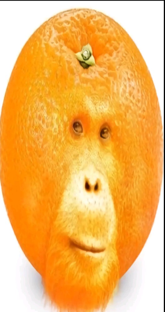 Создать мем: обезьяна с апельсином улыбается, апельсин смешной, катился апельсин