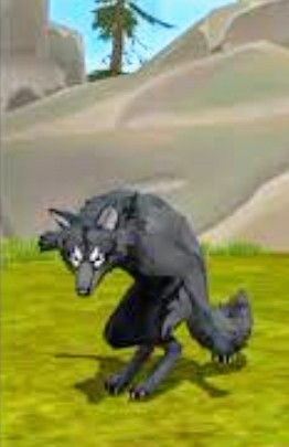 Create meme: wild craft wolf, wild craft rare wolf skin, wildcraft black wolf