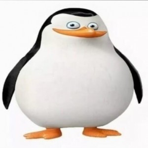 Создать мем: Мультфильм, мадагаскар пингвины, пингвин из мадагаскара