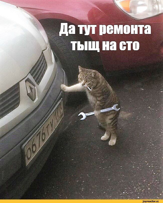 Кот механик. Кот автослесарь. Кот ремонтирует авто. Котик чинит машину.