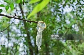 Создать мем: использованный презик, use condom, презики на деревьях