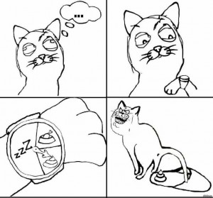 Создать мем: комиксы кв про котов с мемами, кот, комиксы