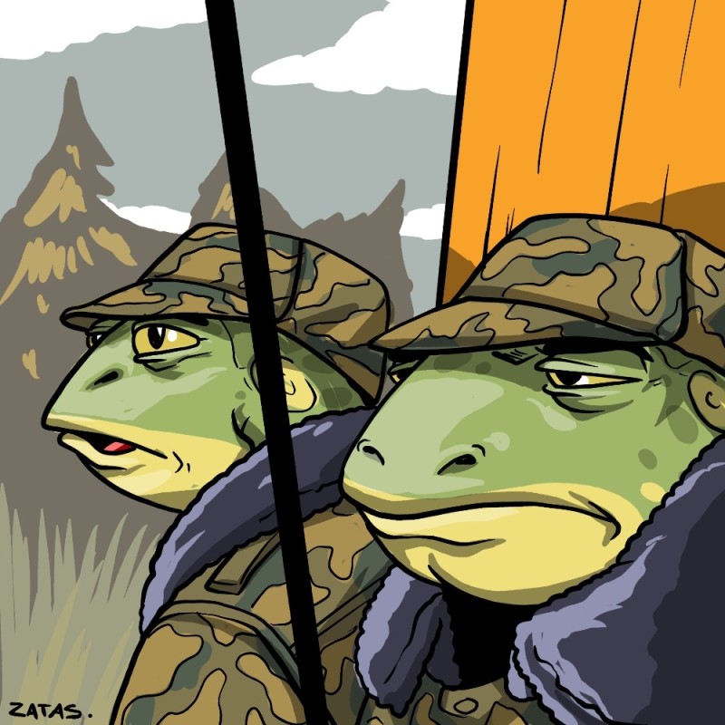 Create meme: toad , toad and frog, toad meme