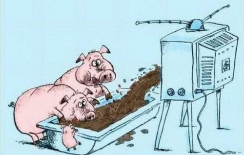 Создать мем: свинья, свинья у телевизора, свиньи у корыта карикатура