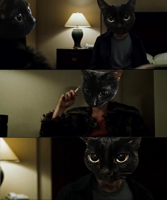 Создать мем: черный котик, кошечка, котенок черный