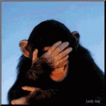 Create meme: monkey laughing GIF, monkey close eye with hand, the monkey laughs