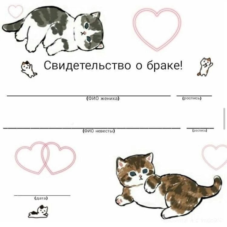 Create meme: adorable kittens, illustration of cat, marriage certificates