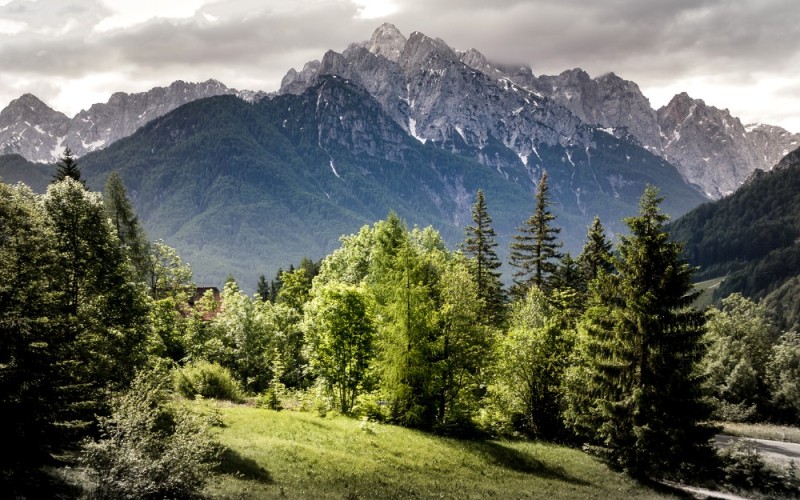 Create meme: mountain forest , nature mountains , Alps mountains