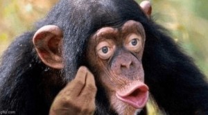 Create meme: chimpanzee, monkey with lips, chimpanzees
