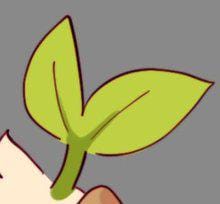 Создать мем: двойной листик, зеленый лист, растения