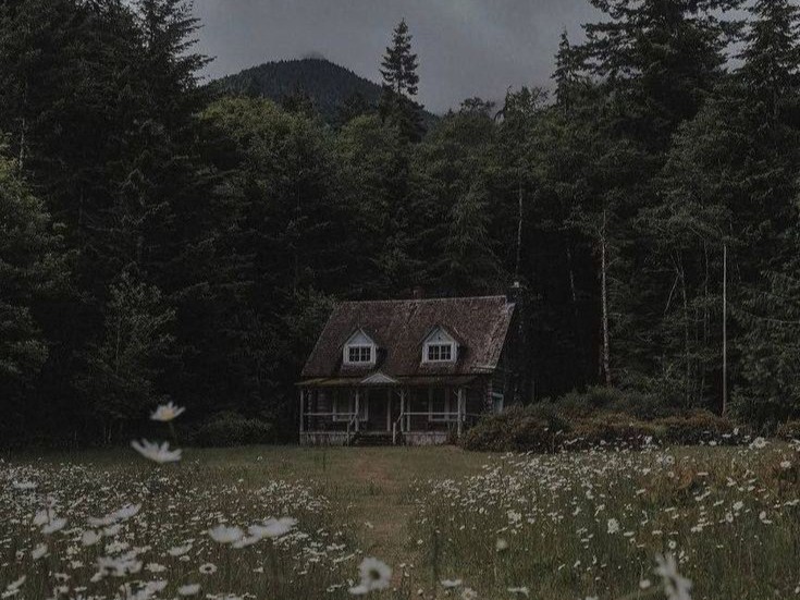 Создать мем: одинокий домик в лесу, милый домик в лесу, домик в лесу