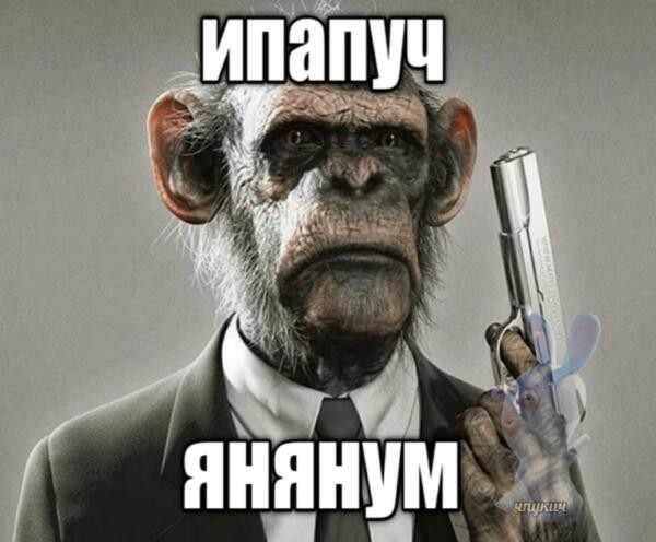Create meme: chupapi munyanyu, robert macaque, the new