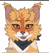 Create meme: warrior cats, lion light warrior cats, Yarolik's warrior cats