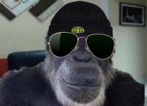 Создать мем: мем горилла, обезьяна из мема, обезьяна улыбается мем