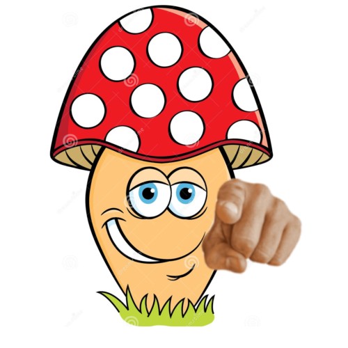 Create meme: mushroom fly agaric for children, funny fly agaric, fly agaric for children