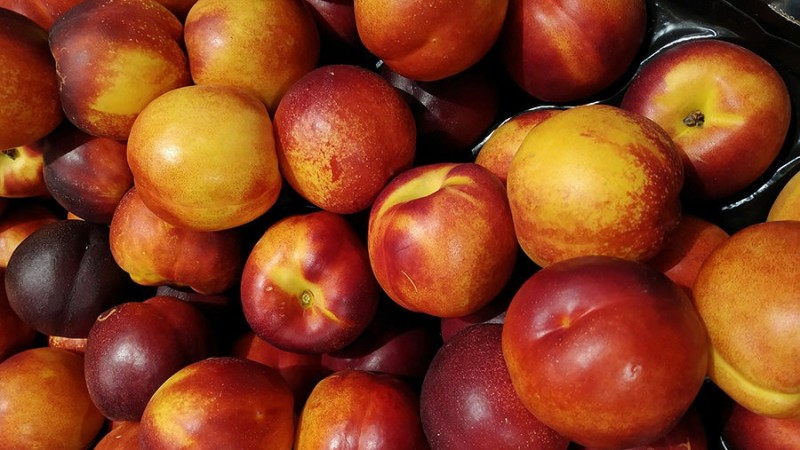 Create meme: nectarine and peach, nectarine fruit, nectarine mango variety