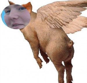 Create meme: pig pig, pig, pig with wings
