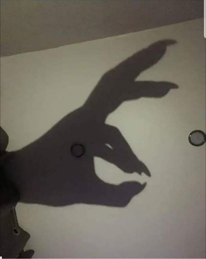 meme "shadow, Figure, picture hand" - Pictures - Meme-arsenal.com