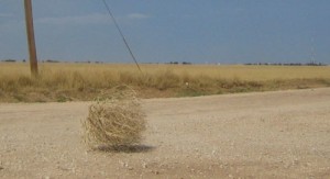 Create meme: tumbleweed solitude