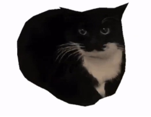 Создать мем: черный кот, maxwell the cat, кот кот