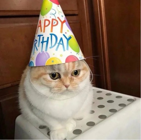 Create meme: happy birthday cat, happy birthday kitty, the cat is a wizard vzhuh