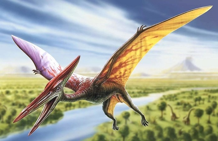 Создать мем: птерозавр кетцалькоатль, летающие динозавры, птеранодон