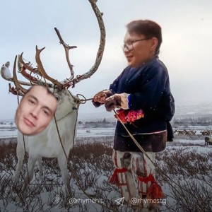 Create meme: tundra, reindeer, deer