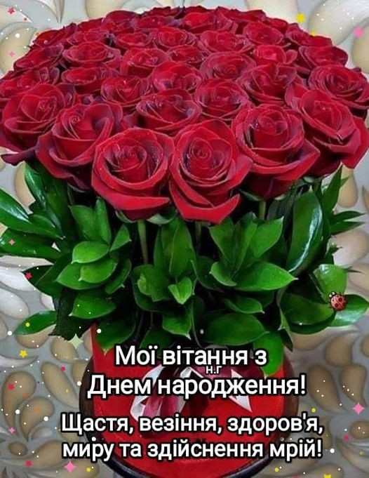 Создать мем: с днем рождения розы, привітання з днем народження, красивый цветок